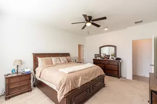 336 Paso Fino Dr, Alvin, TX 77511 - Photo 30