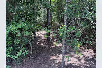 15785 Woodlife Road, Willis, TX 77378 - Photo 6