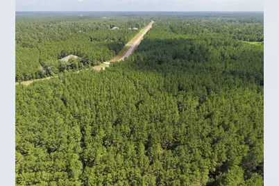 15785 Woodlife Road, Willis, TX 77378 - Photo 12