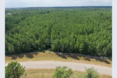 15785 Woodlife Road, Willis, TX 77378 - Photo 16
