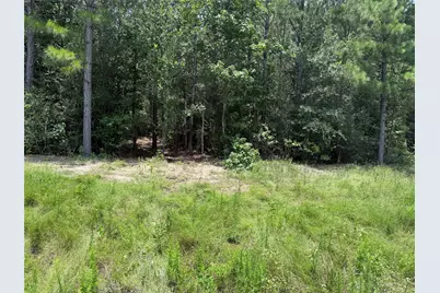 15785 Woodlife Road, Willis, TX 77378 - Photo 4