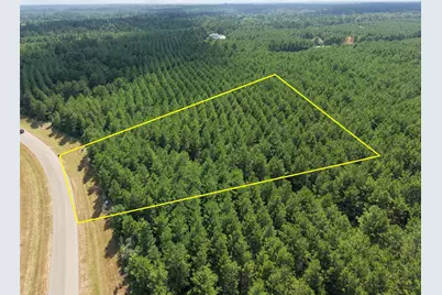 15785 Woodlife Road, Willis, TX 77378 - Photo 1