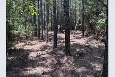 15785 Woodlife Road, Willis, TX 77378 - Photo 8