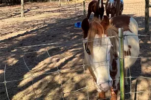 1760 Co Rd 215, Weimar, TX 78962 - Photo 42