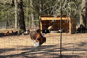 1760 Co Rd 215, Weimar, TX 78962 - Photo 34