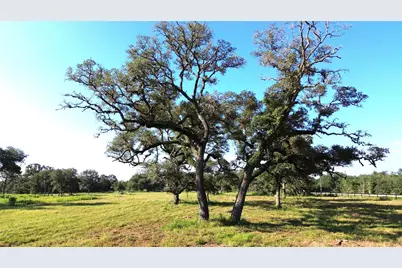 Tbd Oakridge Road, Weimar, TX 78962 - Photo 10