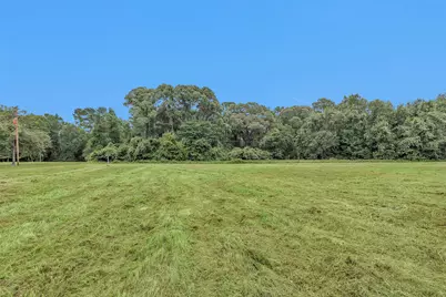 Lot 1 Paradise Point, Willis, TX 77318 - Photo 8
