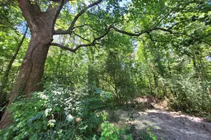 1562 FM 1013, Kirbyville, TX 75956 - Photo 4