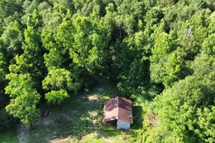 1562 FM 1013, Kirbyville, TX 75956 - Photo 28