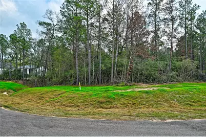 4521 Marfa Court, Montgomery, TX 77316 - Photo 2