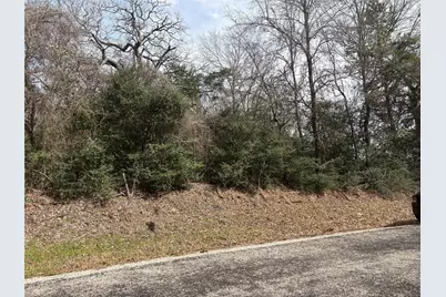 Tbd Pleasant Hill Road, Bryan, TX 77807 - Photo 1