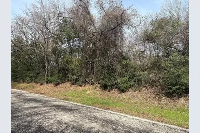 Tbd Pleasant Hill Road, Bryan, TX 77807 - Photo 2