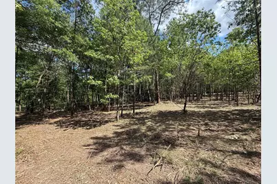 0 Daniel Street, Magnolia, TX 77354 - Photo 12