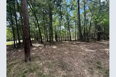 0 Daniel Street, Magnolia, TX 77354 - Photo 10