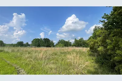 0 Mac Lane, Ames, TX 77575 - Photo 4