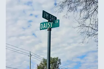 157 Daisy Lane, Mont Belvieu, TX 77523 - Photo 4