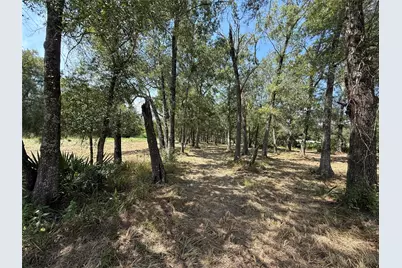 384 County Road 4017, Dayton, TX 77535 - Photo 6