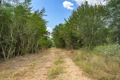 10842 Rauch Road, La Grange, TX 78946 - Photo 16