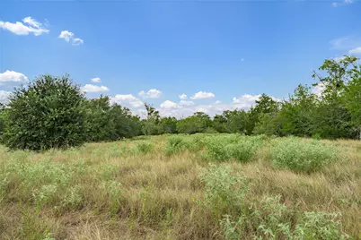 10842 Rauch Road, La Grange, TX 78946 - Photo 12