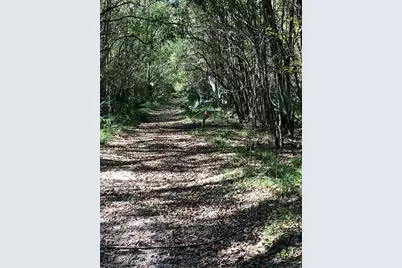 0 115300, Magnolia, TX 77354 - Photo 2
