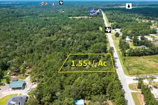 19996 Fm 2090 Rd, Conroe, TX 77306 - Photo 2