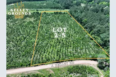 1-2 Kelley Road, Livingston, TX 77351 - Photo 14