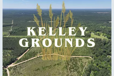 1-2 Kelley Road, Livingston, TX 77351 - Photo 1