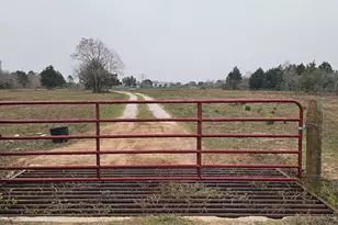 2786 Old Columbus Rd N, Sealy, TX 77474 - Photo 26