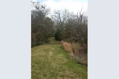 0 Cottontail Drive, Hempstead, TX 77445 - Photo 6