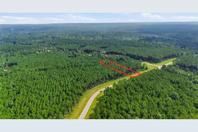 16030 Forest Mill Road, Willis, TX 77378 - Photo 8