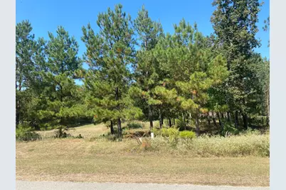 393 Ridge Lake Scenic Drive, Montgomery, TX 77316 - Photo 2