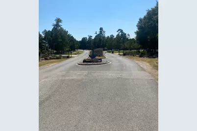 393 Ridge Lake Scenic Drive, Montgomery, TX 77316 - Photo 6