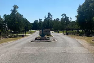 393 Ridge Lake Scenic Dr, Montgomery, TX 77316 - Photo 6