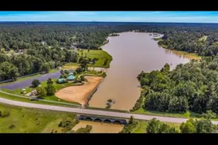 393 Ridge Lake Scenic Dr, Montgomery, TX 77316 - Photo 10