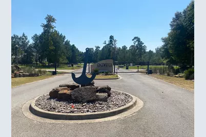 393 Ridge Lake Scenic Drive, Montgomery, TX 77316 - Photo 8