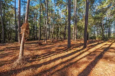 0 Fm 1485, Huffman, TX 77357 - Photo 12