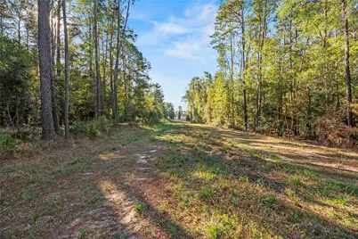 0 Fm 1485, Huffman, TX 77357 - Photo 4