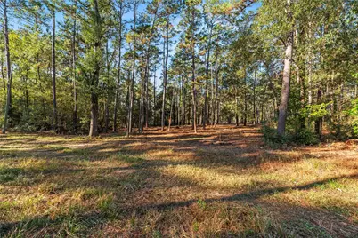 0 Fm 1485, Huffman, TX 77357 - Photo 10