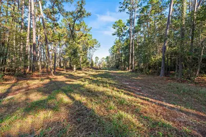 0 Fm 1485, Huffman, TX 77357 - Photo 6