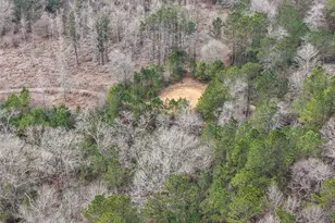 21251 Doru Dr, Cleveland, TX 77328 - Photo 24