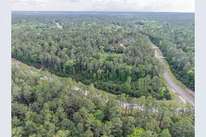 411 Sundog Road, Huntsville, TX 77340 - Photo 36