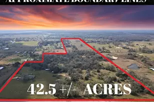 42 5 +/- Ac 22052 Chapman Rd, Hempstead, TX 77445 - Photo 1