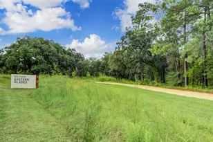 5810 Venice St, Houston, TX 77007 - Photo 24
