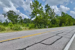 17171 E Fm 1097 Rd, Willis, TX 77378 - Photo 10