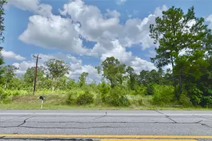 17171 E Fm 1097 Rd, Willis, TX 77378 - Photo 8