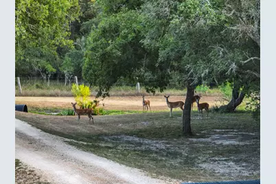 4102 Fm 1862, Blessing, TX 77419 - Photo 10