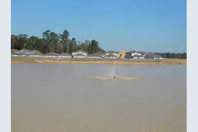 16658 Moss Lane, Porter, TX 77365 - Photo 4