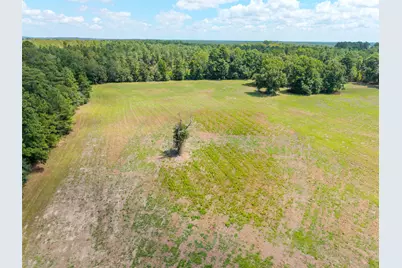 Tbd Cr 3365, Lovelady, TX 75851 - Photo 8