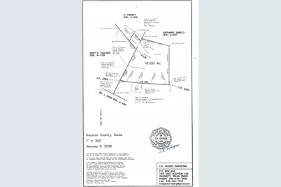 Tbd Cr 3365, Lovelady, TX 75851 - Photo 2