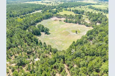 Tbd Cr 3365, Lovelady, TX 75851 - Photo 6